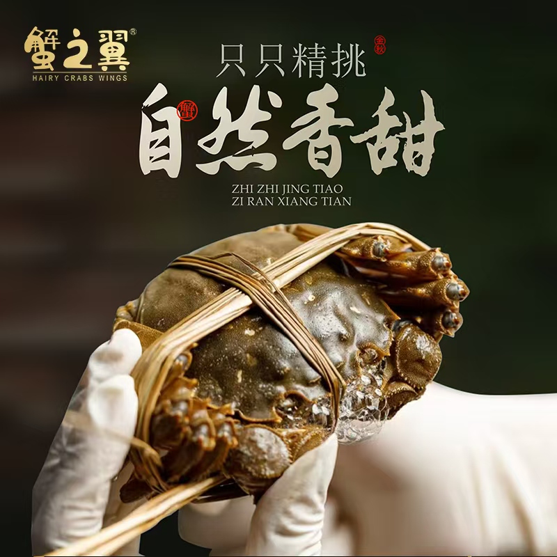 大闸蟹上市肥美多膏 挑选大闸蟹要的五个小技巧