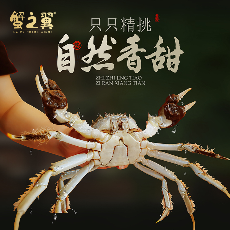 如何辨别活蟹